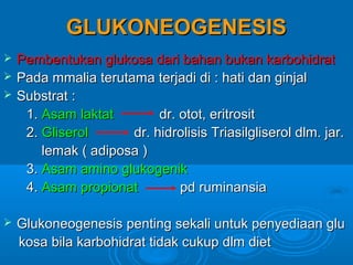 GLUKONEOGENESIS
   Pembentukan glukosa dari bahan bukan karbohidrat
   Pada mmalia terutama terjadi di : hati dan ginjal
   Substrat :
     1. Asam laktat        dr. otot, eritrosit
     2. Gliserol      dr. hidrolisis Triasilgliserol dlm. jar.
        lemak ( adiposa )
     3. Asam amino glukogenik
     4. Asam propionat         pd ruminansia

   Glukoneogenesis penting sekali untuk penyediaan glu
    kosa bila karbohidrat tidak cukup dlm diet
 