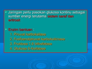    Jaringan perlu pasokan glukosa kontinu sebagai
    sumber energi terutama sistem saraf dan
    eritrosit

   Enzim bantuan :
     1. Piruvat karboksilase
     2. Fosfoenolpiruvat karboksikinase
     3. Fruktosa 1,6 bifosfatase
     4. Glukosa 6-fosfatase
 