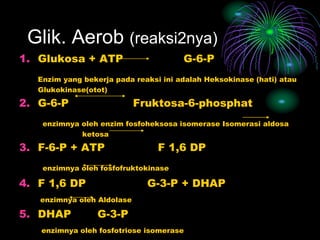 Glik. Aerob (reaksi2nya)
1. Glukosa + ATP G-6-P
Enzim yang bekerja pada reaksi ini adalah Heksokinase (hati) atau
Glukokinase(otot)
2. G-6-P Fruktosa-6-phosphat
enzimnya oleh enzim fosfoheksosa isomerase Isomerasi aldosa
ketosa
3. F-6-P + ATP F 1,6 DP
enzimnya oleh fosfofruktokinase
4. F 1,6 DP G-3-P + DHAP
enzimnya oleh Aldolase
5. DHAP G-3-P
enzimnya oleh fosfotriose isomerase
 
