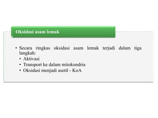 • Secara ringkas oksidasi asam lemak terjadi dalam tiga
langkah:
• Aktivasi
• Transport ke dalam mitokondria
• Oksidasi menjadi asetil - KoA
Oksidasi asam lemak
 