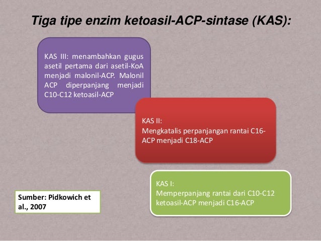 Metabolisme lipid pada tumbuhan Metabolisme lipid pada tumbuhan