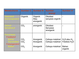 Sumber H+

Metabolisme

Sumber C Sumber N Sumber
energi

Heterotrof/
Kemoorganotrof

Organik

Organik
Atau
anorganik

Oksidasi
senyawa organik

Ototrof/
kemolitotrof

CO2

anorganik

Oksidasi
Senyawa
anorganik

Fotosintesis
Fotolitotrof
Bakteri
CO2
Sianobakteri CO2
Fotoorganotrof
Bakteri
CO2

Anorganik
Anorganik

Cahaya matahari H2S atau H2
Cahaya matahari Fotolisis H2O

Anorganik

Cahaya matahari Bahan
organik

-

 