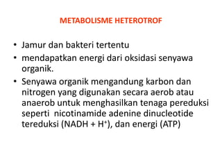 METABOLISME HETEROTROF

• Jamur dan bakteri tertentu
• mendapatkan energi dari oksidasi senyawa
organik.
• Senyawa organik mengandung karbon dan
nitrogen yang digunakan secara aerob atau
anaerob untuk menghasilkan tenaga pereduksi
seperti nicotinamide adenine dinucleotide
tereduksi (NADH + H+), dan energi (ATP)

 