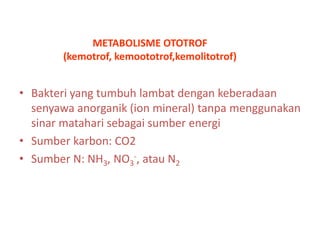METABOLISME OTOTROF
(kemotrof, kemoototrof,kemolitotrof)

• Bakteri yang tumbuh lambat dengan keberadaan
senyawa anorganik (ion mineral) tanpa menggunakan
sinar matahari sebagai sumber energi
• Sumber karbon: CO2
• Sumber N: NH3, NO3-, atau N2

 