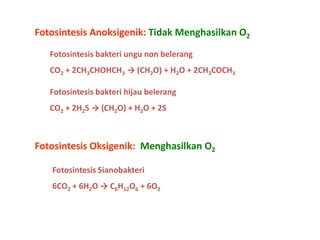 Fotosintesis Anoksigenik: Tidak Menghasilkan O2
Fotosintesis bakteri ungu non belerang
CO2 + 2CH3CHOHCH3 → (CH2O) + H2O + 2CH3COCH3
Fotosintesis bakteri hijau belerang
CO2 + 2H2S → (CH2O) + H2O + 2S

Fotosintesis Oksigenik: Menghasilkan O2
Fotosintesis Sianobakteri
6CO2 + 6H2O → C6H12O6 + 6O2

 