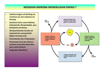 MENGAPA MIKROBA MEMERLUKAN ENERGI ?
•

Synthesa bagian sel (dinding sel,
membran sel, dan substansi sel
lainnya)

•

Synthesis Enzim, Asam Nukleat,
Polysakarida, Phospholipids, atau
komponen sel lainnya

•

Mempertahankan kondisi sel
(optimal) dan memperbaiki
bagian sel yang rusak

•

Pertumbuhan dan Perbanyakan

•

Penyerapan hara dan ekskresi
senyawa yang tidak diperlukan
atau waste products

•

Pergerakan (Motilitas)

 