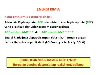 ENERGI KIMIA
Komponen kimia berenergi tinggi:
Adenosin Diphosphate (ADP) dan Adenosine Triphosphate (ATP)
yang dibentuk dari Adenosine Monophosphate
ADP adalah AMP ~ P dan ATP adalah AMP ~ P~ P
Energi kimia juga dapat disimpan dalam komponen dengan
ikatan thioester seperti Acetyl-S-Coenzym A (Acetyl SCoA)

REAKSI BIOKIMIA DIKATALIS OLEH ENZIM:
Berperan penting dalam setiap reaksi metabolisme

 