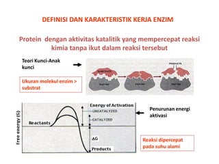 DEFINISI DAN KARAKTERISTIK KERJA ENZIM
Protein dengan aktivitas katalitik yang mempercepat reaksi
kimia tanpa ikut dalam reaksi tersebut
Teori Kunci-Anak
kunci

Ukuran molekul enzim >
substrat

Penurunan energi
aktivasi

Reaksi dipercepat
pada suhu alami

 