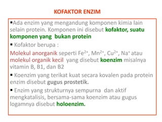 KOFAKTOR ENZIM
Ada enzim yang mengandung komponen kimia lain
selain protein. Komponen ini disebut kofaktor, suatu
komponen yang bukan protein
 Kofaktor berupa :
Molekul anorganik seperti Fe2+, Mn2+, Cu2+, Na+ atau
molekul organik kecil yang disebut koenzim misalnya
vitamin B, B1, dan B2
 Koenzim yang terikat kuat secara kovalen pada protein
enzim disebut gugus prostetik.
 Enzim yang strukturnya sempurna dan aktif
mengkatalisis, bersama-sama koenzim atau gugus
logamnya disebut holoenzim.

 