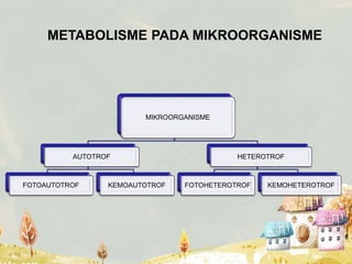 Metabolisme mikroba | PPTX