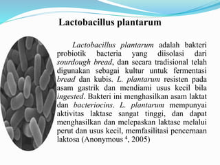Lactobacillus plantarum
Lactobacillus plantarum adalah bakteri
probiotik bacteria yang diisolasi dari
sourdough bread, dan secara tradisional telah
digunakan sebagai kultur untuk fermentasi
bread dan kubis. L. plantarum resisten pada
asam gastrik dan mendiami usus kecil bila
ingested. Bakteri ini menghasilkan asam laktat
dan bacteriocins. L. plantarum mempunyai
aktivitas laktase sangat tinggi, dan dapat
menghasilkan dan melepaskan laktase melalui
perut dan usus kecil, memfasilitasi pencernaan
laktosa (Anonymous 4, 2005)
 