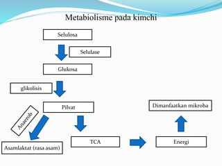 Metabiolisme pada kimchi
Selulosa
Glukosa
Pilvat
TCA
Selulase
glikolisis
Asamlaktat (rasa asam)
Energi
Dimanfaatkan mikroba
 