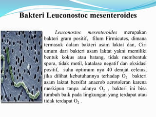 Bakteri Leuconostoc mesenteroides
Leuconostoc mesenteroides merupakan
bakteri gram positif, filum Firmicutes, dimana
termasuk dalam bakteri asam laktat dan, Ciri
umum dari bakteri asam laktat yakni memiliki
bentuk kokus atau batang, tidak membentuk
spora, tidak motil, katalase negatif dan oksidasi
positif, suhu optimum nya 40 derajat celcius,
jika dilihat kebutuhannya terhadap O2 bakteri
asam laktat bersifat anaerob aerotoleran karena
meskipun tanpa adanya O2 , bakteri ini bisa
tumbuh baik pada lingkungan yang terdapat atau
tidak terdapat O2 .
 