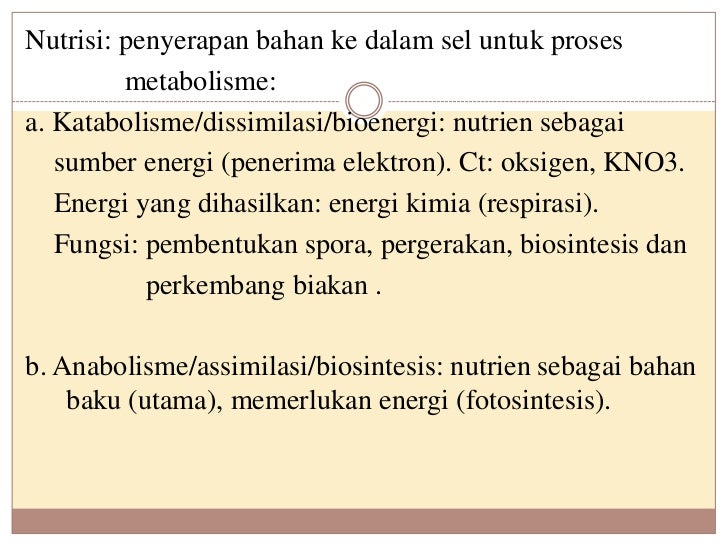Metabolisme mikrobial