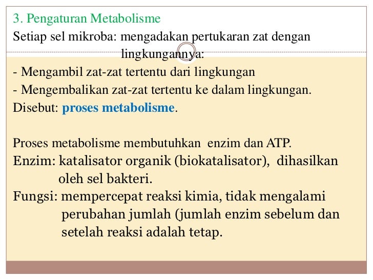 Metabolisme mikrobial
