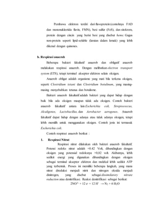 Pembawa elektron terdiri dari flavoprotein (contohnya FAD
dan mononukleotida flavin, FMN), besi sulfur (FeS), dan sitokrom,
protein dengan cincin yang berisi besi yang disebut heme. Gugus
non-protein seperti lipid-soluble (larutan dalam lemak) yang lebih
dikenal dengan quinones.
b. Respirasi anaerob
Beberapa bakteri fakultatif anaerob dan obligatif anaerob
melakukan respirasi anaerob. Dengan melibatkan electron transport
system (ETS), tetapi terminal akseptor elektron selain oksigen.
Anaerob obligat adalah organisme yang mati bila terkena oksigen,
seperti Clostridium tetani dan Clostridium botulinum, yang masing-
masing menyebabkan tetanus dan botulisme.
Bakteri anaerob fakultatif adalah bakteri yang dapat hidup dengan
baik bila ada oksigen maupun tidak ada oksigen. Contoh bakteri
anaerob fakultatif antara lain Escherichia coli, Streptococcus,
Alcaligenes, Lactobacillus, dan Aerobacter aerogenes. Anaerob
fakultatif dapat hidup dengan adanya atau tidak adanya oksigen, tetapi
lebih memilih untuk menggunakan oksigen. Contoh jenis ini termasuk
Escherichia coli.
Contoh respirasi anaerob berikut :
1. Respirasi Nitrat
Respirasi nitrat dilakukan oleh bakteri anaerob fakultatif.
Potensi redoks nitrat adalah +0.42 Volt, dibandingkan dengan
oksigen yang potensial redoksnya +0,82 volt. Akibatnya, lebih
sedikit energi yang digunakan dibandingkan dengan oksigen
sebagai terminal akseptor elektron dan molekul lebih sedikit ATP
yang terbentuk. Proses ini memiliki beberapa langkah, yang mana
nitrat direduksi menjadi nitrit dan nitrogen oksida menjadi
dinitrogen, yang disebut sebagai dissimilatory nitrate
reduction atau denitrifikasi. Reaksi denitrifikasi sebagai berikut:
2NO3- + 12 e- + 12 H+ → N2 + 6 H2O
 