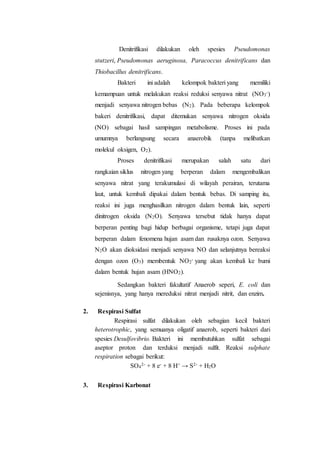 Denitrifikasi dilakukan oleh spesies Pseudomonas
stutzeri, Pseudomonas aeruginosa, Paracoccus denitrificans dan
Thiobacillus denitrificans.
Bakteri ini adalah kelompok bakteri yang memiliki
kemampuan untuk melakukan reaksi reduksi senyawa nitrat (NO3
-)
menjadi senyawa nitrogen bebas (N2). Pada beberapa kelompok
bakeri denitrifikasi, dapat ditemukan senyawa nitrogen oksida
(NO) sebagai hasil sampingan metabolisme. Proses ini pada
umumnya berlangsung secara anaerobik (tanpa melibatkan
molekul oksigen, O2).
Proses denitrifikasi merupakan salah satu dari
rangkaian siklus nitrogen yang berperan dalam mengembalikan
senyawa nitrat yang terakumulasi di wilayah perairan, terutama
laut, untuk kembali dipakai dalam bentuk bebas. Di samping itu,
reaksi ini juga menghasilkan nitrogen dalam bentuk lain, seperti
dinitrogen oksida (N2O). Senyawa tersebut tidak hanya dapat
berperan penting bagi hidup berbagai organisme, tetapi juga dapat
berperan dalam fenomena hujan asam dan rusaknya ozon. Senyawa
N2O akan dioksidasi menjadi senyawa NO dan selanjutnya bereaksi
dengan ozon (O3) membentuk NO2
- yang akan kembali ke bumi
dalam bentuk hujan asam (HNO2).
Sedangkan bakteri fakultatif Anaerob seperi, E. coli dan
sejenisnya, yang hanya mereduksi nitrat menjadi nitrit, dan enzim.
2. Respirasi Sulfat
Respirasi sulfat dilakukan oleh sebagian kecil bakteri
heterotrophic, yang semuanya oligatif anaerob, seperti bakteri dari
spesies Desulfovibrio. Bakteri ini membutuhkan sulfat sebagai
aseptor proton dan terduksi menjadi sulfit. Reaksi sulphate
respiration sebagai berikut:
SO4
2- + 8 e- + 8 H+ → S2- + H2O
3. Respirasi Karbonat
 