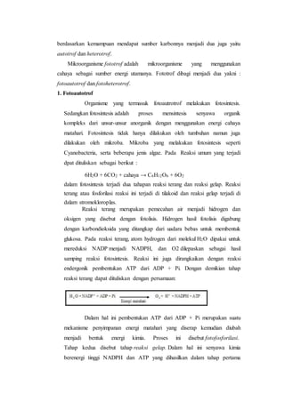 berdasarkan kemampuan mendapat sumber karbonnya menjadi dua juga yaitu
autotrof dan heterotrof.
Mikroorganisme fototrof adalah mikroorganisme yang menggunakan
cahaya sebagai sumber energi utamanya. Fototrof dibagi menjadi dua yakni :
fotoautotrof dan fotoheterotrof.
1. Fotoautotrof
Organisme yang termasuk fotoautrotrof melakukan fotosintesis.
Sedangkan fotosintesis adalah proses mensintesis senyawa organik
kompleks dari unsur-unsur anorganik dengan menggunakan energi cahaya
matahari. Fotosintesis tidak hanya dilakukan oleh tumbuhan namun juga
dilakukan oleh mikroba. Mikroba yang melakukan fotosintesis seperti
Cyanobacteria, serta beberapa jenis algae. Pada Reaksi umum yang terjadi
dpat dituliskan sebagai berikut :
6H2O + 6CO2 + cahaya → C6H12O6 + 6O2
dalam fotosintesis terjadi dua tahapan reaksi terang dan reaksi gelap. Reaksi
terang atau fosforilasi reaksi ini terjadi di tilakoid dan reaksi gelap terjadi di
dalam stromokloroplas.
Reaksi terang merupakan pemecahan air menjadi hidrogen dan
oksigen yang disebut dengan fotolisis. Hidrogen hasil fotolisis digabung
dengan karbondioksida yang ditangkap dari uadara bebas untuk membentuk
glukosa. Pada reaksi terang, atom hydrogen dari molekul H2O dipakai untuk
mereduksi NADP menjadi NADPH, dan O2 dilepaskan sebagai hasil
samping reaksi fotosintesis. Reaksi ini juga dirangkaikan dengan reaksi
endergonik pembentukan ATP dari ADP + Pi. Dengan demikian tahap
reaksi terang dapat dituliskan dengan persamaan:
Dalam hal ini pembentukan ATP dari ADP + Pi merupakan suatu
mekanisme penyimpanan energi matahari yang diserap kemudian diubah
menjadi bentuk energi kimia. Proses ini disebut fotofosforilasi.
Tahap kedua disebut tahap reaksi gelap. Dalam hal ini senyawa kimia
berenergi tinggi NADPH dan ATP yang dihasilkan dalam tahap pertama
 