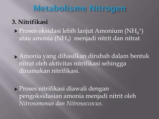 Mikroorganisme yang berperan dalam reaksi penguraian amonia menjadi nitrit adalah
