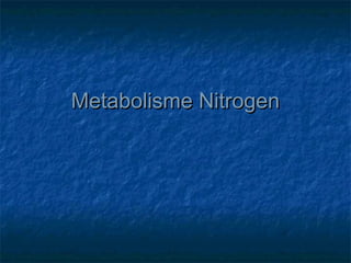 Metabolisme NitrogenMetabolisme Nitrogen
 