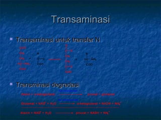 TransaminasiTransaminasi
 Transaminasi untuk transfer NTransaminasi untuk transfer N
 Transminasi degradasiTransminasi degradasi
COO-
CH2
CH2
HC NH3
COO-
C
CH2
CH2
C O
COO-
O-
O
R
C O
COO-
R
HC NH3
COO-
+
+
Alanin + α-ketoglutarat piruvat + glutamat
Glutamat + NAD+
+ H2O α-ketoglutarat + NADH + NH4
+
Alanin + NAD+
+ H2O piruvat + NADH + NH4
+
Aminotransferase
Glu dehidrogenase
 
