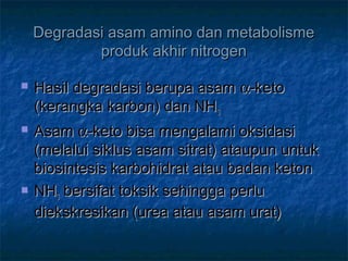 Degradasi asam amino dan metabolismeDegradasi asam amino dan metabolisme
produk akhir nitrogenproduk akhir nitrogen
 Hasil degradasi berupa asamHasil degradasi berupa asam αα-keto-keto
(kerangka karbon) dan NH(kerangka karbon) dan NH33
 AsamAsam αα-keto bisa mengalami oksidasi-keto bisa mengalami oksidasi
(melalui siklus asam sitrat) ataupun untuk(melalui siklus asam sitrat) ataupun untuk
biosintesis karbohidrat atau badan ketonbiosintesis karbohidrat atau badan keton
 NHNH33 bersifat toksik sehingga perlubersifat toksik sehingga perlu
diekskresikan (urea atau asam urat)diekskresikan (urea atau asam urat)
 