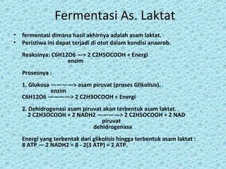 Fermentasi As. Laktat
•   fermentasi dimana hasil akhirnya adalah asam laktat.
•   Peristiwa ini dapat terjadi di otot dalam kondisi anaerob.
    Reaksinya: C6H12O6 —> 2 C2H5OCOOH + Energi
                    enzim
    Prosesnya :
    1. Glukosa ————> asam piruvat (proses Glikolisis).
               enzim
    C6H12O6 ————> 2 C2H3OCOOH + Energi
    2. Dehidrogenasi asam piruvat akan terbentuk asam laktat.
       2 C2H3OCOOH + 2 NADH2 ————> 2 C2H5OCOOH + 2 NAD
                                 piruvat
                              dehidrogenasa
    Energi yang terbentak dari glikolisis hingga terbentuk asam laktat :
    8 ATP — 2 NADH2 = 8 - 2(3 ATP) = 2 ATP.
 