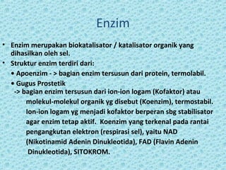 Enzim
• Enzim merupakan biokatalisator / katalisator organik yang
  dihasilkan oleh sel.
• Struktur enzim terdiri dari:
  • Apoenzim - > bagian enzim tersusun dari protein, termolabil.
  • Gugus Prostetik
   -> bagian enzim tersusun dari ion-ion logam (Kofaktor) atau
       molekul-molekul organik yg disebut (Koenzim), termostabil.
       Ion-ion logam yg menjadi kofaktor berperan sbg stabilisator
       agar enzim tetap aktif. Koenzim yang terkenal pada rantai
       pengangkutan elektron (respirasi sel), yaitu NAD
       (Nikotinamid Adenin Dinukleotida), FAD (Flavin Adenin
        Dinukleotida), SITOKROM.
 