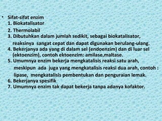 • Sifat-sifat enzim
  1. Biokatalisator
  2. Thermolabil
  3. Dibutuhkan dalam jumlah sedikit, sebagai biokatalisator,
     reaksinya sangat cepat dan dapat digunakan berulang-ulang.
  4. Bekerjanya ada yang di dalam sel (endoenzim) dan di luar sel
     (ektoenzim), contoh ektoenzim: amilase,maltase.
  5. Umumnya enzim bekerja mengkatalisis reaksi satu arah,
      meskipun ada juga yang mengkatalisis reaksi dua arah, contoh :
      lipase, mengkatalisis pembentukan dan penguraian lemak.
  6. Bekerjanya spesifik
  7. Umumnya enzim tak dapat bekerja tanpa adanya kofaktor.
 