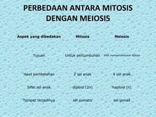 PERBEDAAN ANTARA MITOSIS
       DENGAN MEIOSIS
Aspek yang dibedakan        Mitosis                Meiosis




       Tujuan          Untuk pertumbuhan   Sifat mempertahankan diploid




  Hasil pembelahan         2 sel anak             4 sel anak


    Sifat sel anak        diploid (2n)           haploid (n)


  Tempat terjadinya       sel somatis             sel gonad
 