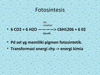 Fotosintesis
                   chy
                   matahari
• 6 CO2 + 6 H2O ————> C6H1206 + 6 02
                   klorofil


• Pd sel yg memiliki pigmen fotosintetik.
• Transformasi energi chy -> energi kimia
 