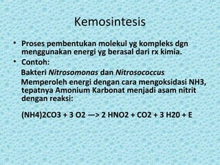 Kemosintesis
• Proses pembentukan molekul yg kompleks dgn
  menggunakan energi yg berasal dari rx kimia.
• Contoh:
  Bakteri Nitrosomonas dan Nitrosococcus
  Memperoleh energi dengan cara mengoksidasi NH3,
  tepatnya Amonium Karbonat menjadi asam nitrit
  dengan reaksi:
  (NH4)2CO3 + 3 O2 —> 2 HNO2 + CO2 + 3 H20 + E
 