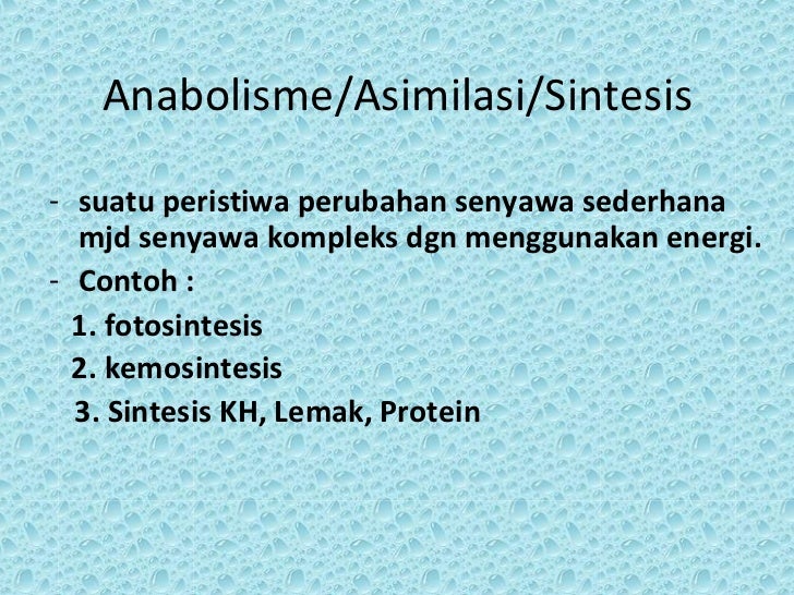 Metabolisme n kemosintesis