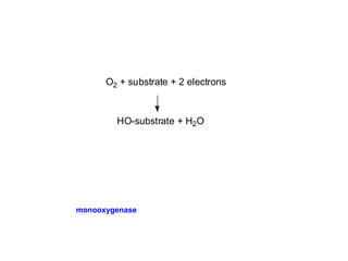 The OH added by P450 can then be used to attach sulfate (SO4
2-
) or a sugar.
The modified drug can be more readily removed by the kidney.
Cytochrome P450 aids in the metabolism of xenobiotics by adding OH to increase the
water solubility of the compound
O2 + substrate + 2 electrons
HO-substrate + H2O
Because this enzyme catalyzes the addition of one oxygen atom, it is
termed a monooxygenase.
 