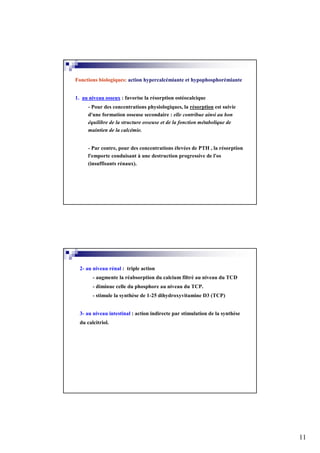 Fonctions biologiques: action hypercalcémiante et hypophosphorémiante


1. au niveau osseux : favorise la résorption ostéocalcique
      - Pour des concentrations physiologiques, la résorption est suivie
      d'une formation osseuse secondaire : elle contribue ainsi au bon
      équilibre de la structure osseuse et de la fonction métabolique de
      maintien de la calcémie.


      - Par contre, pour des concentrations élevées de PTH , la résorption
      l'emporte conduisant à une destruction progressive de l'os
      (insuffisants rénaux).




  2- au niveau rénal : triple action
        - augmente la réabsorption du calcium filtré au niveau du TCD
        - diminue celle du phosphore au niveau du TCP.
        - stimule la synthèse de 1-25 dihydroxyvitamine D3 (TCP)


  3- au niveau intestinal : action indirecte par stimulation de la synthèse
  du calcitriol.




                                                                              11
 