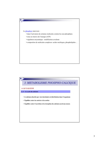 Le phosphore intervient :
       • dans l’activation de certaines molécules comme les oses-phosphates
       • mise en réserve de l’énergie (ATP)
       • régulation enzymatique : modification covalente
       • composition de molécules complexes: acides nucléiques, phospholipides…




    I- METABOLISME PHOSPHO-CALCIQUE
A- LE CALCIUM
A. 1- Le cycle du calcium:


  • le calcium absorbé par voie intestinale est distribution dans l’organisme

  • Équilibre entre les entrées et les sorties

  • Équilibre entre l’accrétion et la résorption du calcium au niveau osseux




                                                                                  3
 