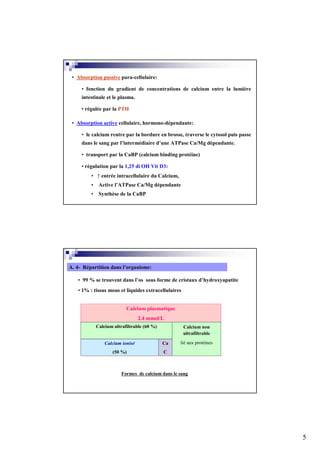• Absorption passive para-cellulaire:

     • fonction du gradient de concentrations de calcium entre la lumière
     intestinale et le plasma.

     • régulée par la PTH

 • Absorption active cellulaire, hormono-dépendante:

     • le calcium rentre par la bordure en brosse, traverse le cytosol puis passe
     dans le sang par l’intermédiaire d’une ATPase Ca/Mg dépendante.

     • transport par la CaBP (calcium binding protéine)

     • régulation par la 1,25 di OH Vit D3:
         • ↑ entrée intracellulaire du Calcium,
         •    Active l’ATPase Ca/Mg dépendante
         •    Synthèse de la CaBP




A. 4- Répartition dans l’organisme:

   • 99 % se trouvent dans l’os sous forme de cristaux d’hydroxyapatite
   • 1% : tissus mous et liquides extracellulaires


                           Calcium plasmatique
                                  2.4 mmol/L
             Calcium ultrafiltrable (60 %)           Calcium non
                                                     ultrafiltrable

                 Calcium ionisé              Ca    lié aux protéines
                    (50 %)                   C



                         Formes de calcium dans le sang




                                                                                    5
 
