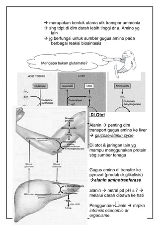  merupakan bentuk utama utk transpor ammonia
 shg tdpt di dlm darah lebih tinggi dr a. Amino yg
lain
 jg berfungsi untuk sumber gugus amino pada
berbagai reaksi biosintesis

Mengapa bukan glutamate?

Di Otot
Alanin  penting dlm
transport gugus amino ke liver
 glucose-alanin cycle
Di otot & jaringan lain yg
mampu menggunakan protein
sbg sumber tenaga
Gugus amino di transfer ke
pyruvat (produk dr glikolisis)
 alanin aminotranferase
alanin  netral pd pH ± 7 
melalui darah dibawa ke hati

Metabolisme Protein (TRN/ 2004)

Penggunaan alanin  mrpkn
intrinsic economic dr
10
organisme

 