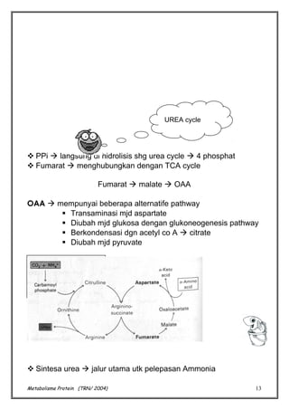 UREA cycle

 PPi  langsung di hidrolisis shg urea cycle  4 phosphat
 Fumarat  menghubungkan dengan TCA cycle
Fumarat  malate  OAA
OAA  mempunyai beberapa alternatife pathway
 Transaminasi mjd aspartate
 Diubah mjd glukosa dengan glukoneogenesis pathway
 Berkondensasi dgn acetyl co A  citrate
 Diubah mjd pyruvate

 Sintesa urea  jalur utama utk pelepasan Ammonia
Metabolisme Protein (TRN/ 2004)

13

 