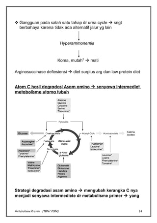  Gangguan pada salah satu tahap dr urea cycle  sngt
berbahaya karena tidak ada alternatif jalur yg lain

Hyperammonemia

Koma, mutah2  mati
Arginosuccinase defiesiensi  diet surplus arg dan low protein diet
Atom C hasil degradasi Asam amino  senyawa intermediet
metabolisme utama tubuh

Strategi degradasi asam amino  mengubah kerangka C nya
menjadi senyawa intermediete dr metabolisme primer  yang

Metabolisme Protein (TRN/ 2004)

14

 