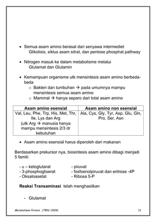 • Semua asam amino berasal dari senyawa intermediet
Glikolisis, siklus asam sitrat, dan pentose phosphat pathway
• Nitrogen masuk ke dalam metabolisme melalui
Glutamat dan Glutamin
• Kemampuan organisme utk mensintesis asam amino berbedabeda
o Bakteri dan tumbuhan  pada umumnya mampu
mensintesis semua asam amino
o Mammal  hanya separo dari total asam amino
Asam amino esensial
Asam amino non esensial
Val, Leu, Phe, Trp, His, Met, Thr, Ala, Cys, Gly, Tyr, Asp, Glu, Gln,
Ile, Lys dan Arg
Pro, Ser, Asn
(utk Arg  manusia hanya
mampu mensintesis 2/3 dr
kebutuhan
• Asam amino esensial harus diperoleh dari makanan
Berdasarkan prekursor nya, biosintesis asam amino dibagi menjadi
5 famili:
- α – ketoglutarat
- 3-phosphogliserat
- Oksaloasetat

- piruvat
- fosfoenolpiruvat dan eritrose -4P
- Ribosa 5-P

Reaksi Transaminasi telah menghasilkan
- Glutamat
Metabolisme Protein (TRN/ 2004)

24

 