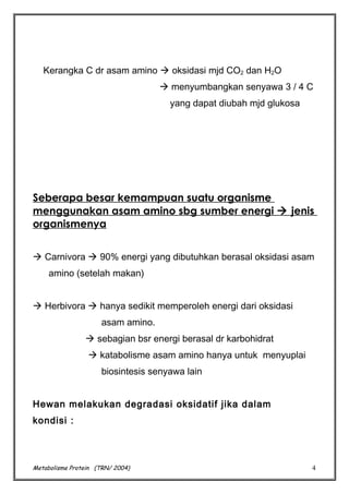 Kerangka C dr asam amino  oksidasi mjd CO2 dan H2O
 menyumbangkan senyawa 3 / 4 C
yang dapat diubah mjd glukosa

Seberapa besar kemampuan suatu organisme
menggunakan asam amino sbg sumber energi  jenis
organismenya
 Carnivora  90% energi yang dibutuhkan berasal oksidasi asam
amino (setelah makan)
 Herbivora  hanya sedikit memperoleh energi dari oksidasi
asam amino.
 sebagian bsr energi berasal dr karbohidrat
 katabolisme asam amino hanya untuk menyuplai
biosintesis senyawa lain
Hewan melakukan degradasi oksidatif jika dalam
kondisi :

Metabolisme Protein (TRN/ 2004)

4

 