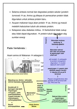 • Selama sintesis normal dan degradasi protein seluler (protein

turnover)  as. Amino yg dilepas dr pemecahan protein tidak
digunakan untuk sintesa protein baru.
• Asupan makanan kaya akan protein  as. Amino yg masuk
melebihi kebutuhan tubuh utk sintesis protein.
• Kelaparan atau diabetes militus.  Karbohidrat tidak cukup
atau tidak dapat digunakan.  protein tubuh digunakan sbg
PROTEI
N

Lambung

sumber energi

Pada Vertebrata :
Asam amino dr Makanan  sebagian besar

Stimulate mukosa
lambung 
hormone gastrin
Stimulate sekresi
HCl oleh sel parietal
& pepsinogen oleh
chief cell
dimetabolisme di hati

 Ammonia yg dihasilkan :
- digunakan kembali untuk proses

pH rendah  antiseptic
& protein mengalami
biosintesis mudah
degradasi 
dipecah oleh enzim2

- kelebihan ada yg di keluarkan dr tubuh dlm bentuk
urea, asam urat, atau ammonia
Ammonia dr jaringan yg
Saluran pencernaan (usus halus)

lain di bawa ke hati

lain dan diekskresikan

pepsinogen  pepsin oleh
aktifitas pepsin sendiri
 diputus 42 aa pd N
 diubah mjd bentuk
terminal
Pepsin menghidrolisis iktn
peptide pd N terminal dkt
Tyr, Phe and Trp

Masuknya as. Amino : stimulate
sekresi hormone cholecystokinin

Kondisi
I. Degradasi Protein menjadi Asam amino

Menetralisir
pH  ± 7

Metabolisme Protein (TRN/ 2004)

Secret
aminopeptidase

asam 
sekresi
hormone
Degradasi protein dr makanan
Sekresi
sekretin
bikarbo
 asam amino : tjd di saluran
nat

Pankreas

Kondisi pH 
Zymogen mjd aktif:
Tripsinogen
Trypsin, (oleh
enteropeptidase)
Trypsin activate 
chymotrypsin,
carboxypeptidase

pencernaan
Sekresi bbrp enzim:

trypsinogen,
chymotrypsinogen,
procarboxypeptidase

Asam Amino
Bebas

5

 