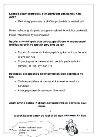 Kenapa enzim diproduksi oleh pankreas dlm kondisi non
aktif?
- Melindungi pankreas dr aktifitas proteolisis dr enzim2 tsbt
Untuk melindungi diri pankreas jg mensekresi  inhibitor pankreatik
tripsin (Pancreatic trypsin inhibitor)
Trypsin, chymotrypsin dan carboxypeptidase  mempunyai
aktifitas katalitik yg spesifik satu dng yg lain
- Trypsin  memecah ikatan peptida yg karbonil nya berasal
dr Lys dan Arg
- Chymotrypsin  memecah iktn peptida pada karboksi
terminal dr Phe, Tyr, dan Trp
Degradasi oligopeptida disempurnakan oleh peptidase yg
lain
- Carboxypeptidase  memecah karboksi terminal scr
berurutan
- Aminopeptidase  memecah N-terminal

Asam amino bebas  ditransport melewati sel epithelial usus
halus.
Masuk kapiler darah yg tdpt di pili dan ditranspor ke hati

Protein makanan telah

Metabolisme diubah (TRN/asam
Protein mjd 2004)

amino !

6

 