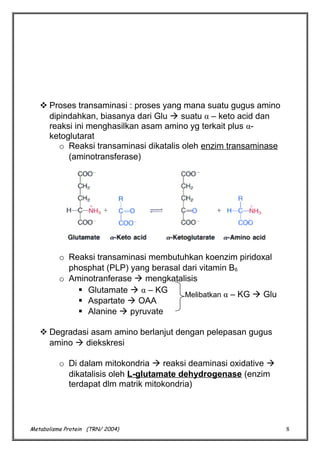  Proses transaminasi : proses yang mana suatu gugus amino
dipindahkan, biasanya dari Glu  suatu α – keto acid dan
reaksi ini menghasilkan asam amino yg terkait plus αketoglutarat
o Reaksi transaminasi dikatalis oleh enzim transaminase
(aminotransferase)

o Reaksi transaminasi membutuhkan koenzim piridoxal
phosphat (PLP) yang berasal dari vitamin B6
o Aminotranferase  mengkatalisis
 Glutamate  α – KG
Melibatkan α – KG  Glu
 Aspartate  OAA
 Alanine  pyruvate
 Degradasi asam amino berlanjut dengan pelepasan gugus
amino  diekskresi
o Di dalam mitokondria  reaksi deaminasi oxidative 
dikatalisis oleh L-glutamate dehydrogenase (enzim
terdapat dlm matrik mitokondria)

Metabolisme Protein (TRN/ 2004)

8

 