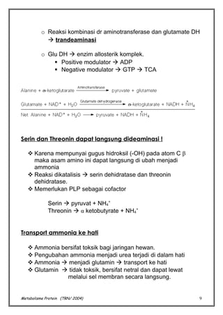 o Reaksi kombinasi dr aminotransferase dan glutamate DH
 trandeaminasi
o Glu DH  enzim allosterik komplek.
 Positive modulator  ADP
 Negative modulator  GTP  TCA

Serin dan Threonin dapat langsung dideaminasi !
 Karena mempunyai gugus hidroksil (-OH) pada atom C β
maka asam amino ini dapat langsung di ubah menjadi
ammonia
 Reaksi dikatalisis  serin dehidratase dan threonin
dehidratase.
 Memerlukan PLP sebagai cofactor
Serin  pyruvat + NH4+
Threonin  α ketobutyrate + NH4+
Transport ammonia ke hati
 Ammonia bersifat toksik bagi jaringan hewan.
 Pengubahan ammonia menjadi urea terjadi di dalam hati
 Ammonia  menjadi glutamin  transport ke hati
 Glutamin  tidak toksik, bersifat netral dan dapat lewat
melalui sel membran secara langsung.

Metabolisme Protein (TRN/ 2004)

9

 