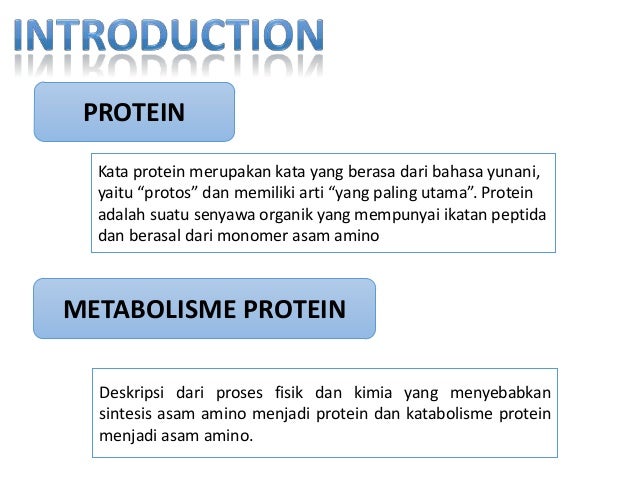 Metabolisme protein Transaminasi dan deaminasi