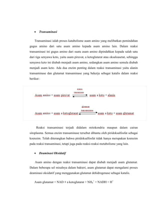  Transaminasi
Transaminasi ialah proses katabolisme asam amino yang melibatkan pemindahan
gugus amino dari satu asam amino kepada asam amino lain. Dalam reaksi
transaminasi ini gugus amino dari suatu asam amino dipindahkan kepada salah satu
dari tiga senyawa keto, yaitu asam piruvat, a ketoglutarat atau oksaloasetat, sehingga
senyawa keto ini diubah menjadi asam amino, sedangkan asam amino semula diubah
menjadi asam keto. Ada dua enzim penting dalam reaksi transaminasi yaitu alanin
transaminase dan glutamat transaminase yang bekerja sebagai katalis dalam reaksi
berikut :
Pada reaksi ini tidak ada gugus amino yang hilang, karena gugus amino yang
dilepaskan oleh asam amino diterima oleh asam keto. Alanin transaminase
merupakan enzim yang mempunyai kekhasan terhadap asam piruvat-alanin. Glutamat
transaminase merupakan enzim yang mempunyai kekhasan terhadap glutamat-
ketoglutarat sebagai satu pasang substrat .
Reaksi transaminasi terjadi didalam mitokondria maupun dalam cairan
sitoplasma. Semua enzim transaminase tersebut dibantu oleh piridoksalfosfat sebagai
koenzim. Telah diterangkan bahwa piridoksalfosfat tidak hanya merupakan koenzim
pada reaksi transaminasi, tetapi juga pada reaksi-reaksi metabolisme yang lain.
 Deaminasi Oksidatif
Asam amino dengan reaksi transaminasi dapat diubah menjadi asam glutamat.
Dalam beberapa sel misalnya dalam bakteri, asam glutamat dapat mengalami proses
deaminasi oksidatif yang menggunakan glutamat dehidrogenase sebagai katalis.
Asam glutamat + NAD + a ketoglutarat + NH4
+
+ NADH + H+
 