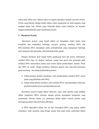 reaksi pada siklus urea. Dalam reaksi ini arginin diuraikan menjadi urea dan ornitin.
Enzim yang bekerja sebagai katalis dalam reaksi penguraian ini ialah arginase yang
terdapat dalam hati. Ornitin yang terbentuk dalam reaksi hidrolisis ini bereaksi
dengan karbamilfosfat untuk membentuk sitrulin.
5. Biosintesis Protein
Biosintesis protein yang terjadi dalam sel merupakan reaksi kimia yang
kompleks dan melibatkan beberapa senyawa penting, terutama DNA dan
RNA.molekuk DNA merupakan rantai polinukleutida yang mempunyai beberapa
jenis basapurin dan piramidin, dan berbentuk heliks ganda.
Dengan demikian akan terjadi heliks gandayang baru dan proses terbentunya
molekul DNA baru ini disebut replikasi, urutan basa purin dan piramidin pada
molekul DNA menentukan urutan asam amino dalam pembentukan protein. Peran
dari DNA itu sendri sebagai pembawa informasi genetic atau sifat-sifat keturunan
pada seseorang . dua tahap pembentukan protein:
1) Tahap pertama disebut transkripsi, yaitu pembentukan molekul RNA sesuai
pesan yang diberikan oleh DNA.
2) Tahap kedua disebut translasi, yaitu molekul RNA menerjemahkan informasi
genetika kedalam proses pembentukan protein.
Biosintesis protein terjadi dalam ribososm, yaitu suatu partikel yang terdapat
dalam sitoplasma rRNA bersama dengan protein merupakan komponen yang
membentuk ribosom dalam sel, perananya dalam dalam sintesis protein yang
berlangsung dalam ribosom belum diketahui.
m RNA diproduksi dalam inti sel dan merupakan RNA yang paling sedikit
jumlahnya. kode genetika yang berupa urutan basa pada rantai nukleutida dalam
 