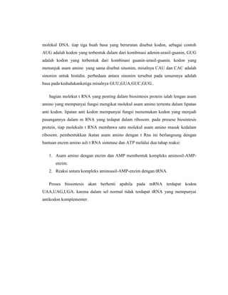molekul DNA. tiap tiga buah basa yang berurutan disebut kodon, sebagai contoh
AUG adalah kodon yang terbentuk dalam dari kombinasi adenin-urasil-guanin, GUG
adalah kodon yang terbentuk dari kombinasi guanin-urasil-guanin. kodon yang
menunjuk asam amino yang sama disebut sinonim, misalnya CAU dan CAC adalah
sinonim untuk histidin. perbedaan antara sinonim tersebut pada umumnya adalah
basa pada kedudukanketiga misalnya GUU,GUA,GUC,GUG..
bagian molekut t RNA yang penting dalam biosintesis protein ialah lengan asam
amino yang mempunyai fungsi mengikat molekul asam amino tertentu dalam lipatan
anti kodon. lipatan anti kodon mempunyai fungsi menemukan kodon yang menjadi
pasangannya dalam m RNA yang tedapat dalam ribosom. pada prosese biosintesis
protein, tiap molekuln t RNA membawa satu molekul asam amino masuk kedalam
ribosom. pembentukkan ikatan asam amino dengan t Rna ini berlangsung dengan
bantuan enzim amino asli t RNA sintetase dan ATP melalui dua tahap reaksi:
1. Asam amino dengan enzim dan AMP membentuk kompleks aminosil-AMP-
enzim.
2. Reaksi antara kompleks aminoasil-AMP-enzim dengan tRNA
Proses biosintesis akan berhenti apabila pada mRNA terdapat kodon
UAA,UAG,UGA. karena dalam sel normal tidak terdapat tRNA yang mempunyai
antikodon komplementer.
 